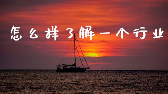 怎么样了解一个行业_https://qh.lansai.wang_期货怎么玩_第1张