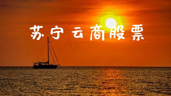 苏宁云商股票_https://qh.lansai.wang_新股数据_第1张