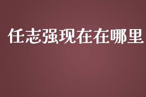 任志强现在在哪里_https://qh.lansai.wang_股票新闻_第1张