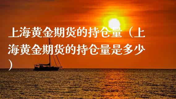 上海黄金期货的持仓量（上海黄金期货的持仓量是多少）_https://qh.lansai.wang_期货喊单_第1张