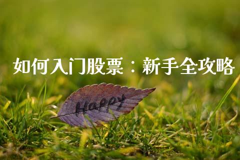 如何入门股票：新手全攻略_https://qh.lansai.wang_股票新闻_第1张
