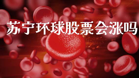 苏宁环球股票会涨吗_https://qh.lansai.wang_期货怎么玩_第1张
