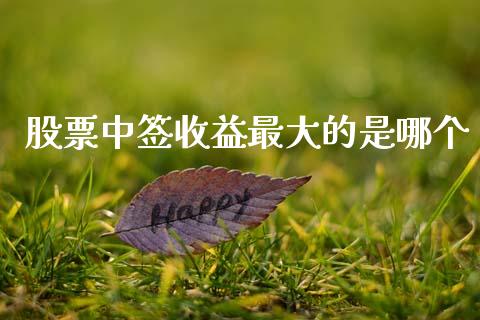 股票中签收益最大的是哪个_https://qh.lansai.wang_新股数据_第1张