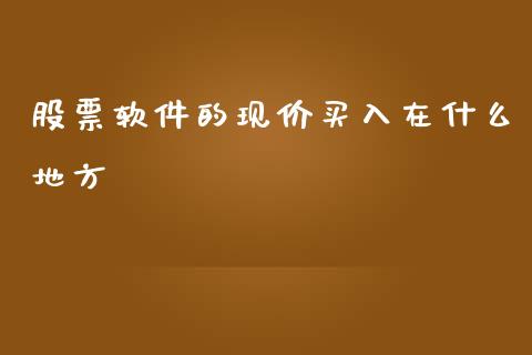股票软件的现价买入在什么地方_https://qh.lansai.wang_期货理财_第1张