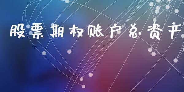股票期权账户总资产_https://qh.lansai.wang_期货喊单_第1张