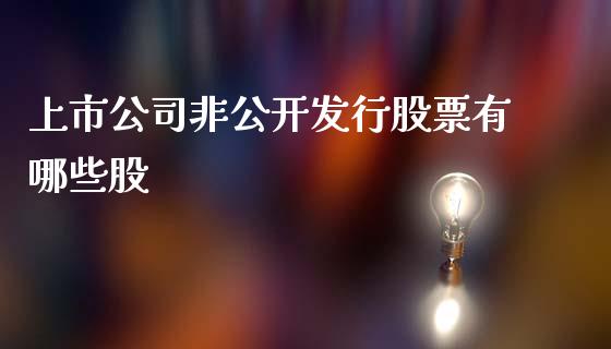 上市公司非公开发行股票有哪些股_https://qh.lansai.wang_期货理财_第1张