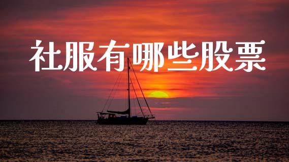 社服有哪些股票_https://qh.lansai.wang_期货理财_第1张