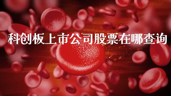 科创板上市公司股票在哪查询_https://qh.lansai.wang_新股数据_第1张