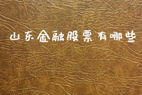 山东金融股票有哪些_https://qh.lansai.wang_新股数据_第1张