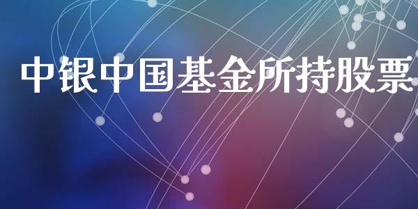 中银中国基金所持股票_https://qh.lansai.wang_期货理财_第1张