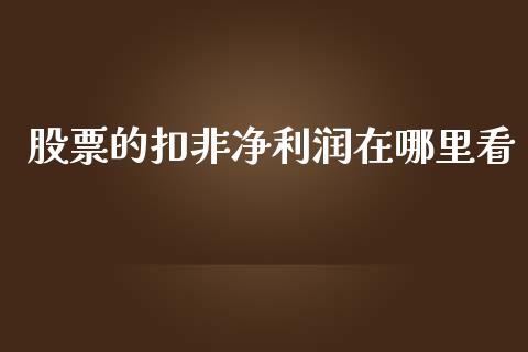 股票的扣非净利润在哪里看_https://qh.lansai.wang_期货怎么玩_第1张