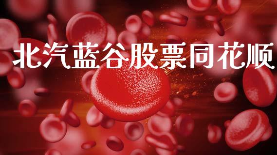 北汽蓝谷股票同花顺_https://qh.lansai.wang_新股数据_第1张