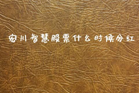 宏川智慧股票什么时候分红_https://qh.lansai.wang_新股数据_第1张