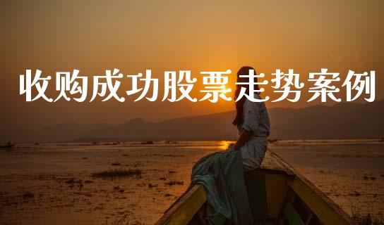 收购成功股票走势案例_https://qh.lansai.wang_期货怎么玩_第1张