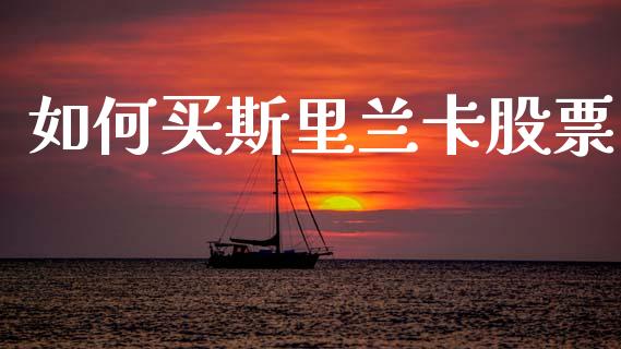 如何买斯里兰卡股票_https://qh.lansai.wang_期货理财_第1张