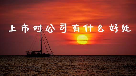 上市对公司有什么好处_https://qh.lansai.wang_新股数据_第1张