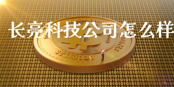 长亮科技公司怎么样_https://qh.lansai.wang_期货理财_第1张