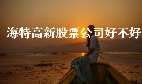 海特高新股票公司好不好_https://qh.lansai.wang_期货理财_第1张