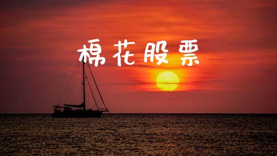 棉花股票_https://qh.lansai.wang_新股数据_第1张