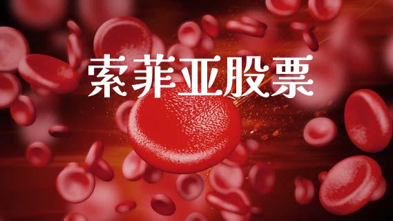 索菲亚股票_新股数据_第1张_起点期货网 索菲亚股票_https://qh.lansai.wang_新股数据_第1张