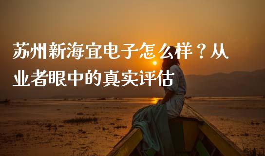 苏州新海宜电子怎么样？从业者眼中的真实评估_https://qh.lansai.wang_期货理财_第1张