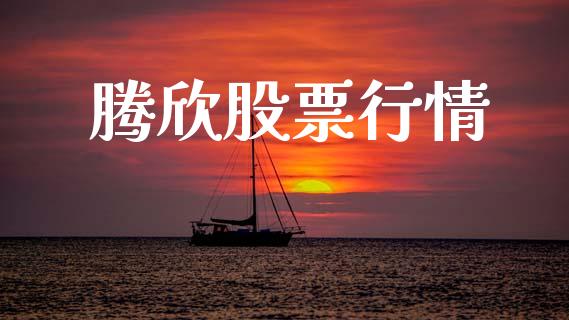 腾欣股票行情_https://qh.lansai.wang_股票新闻_第1张