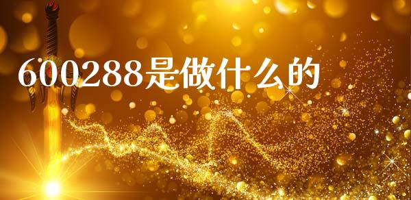 600288是做什么的_https://qh.lansai.wang_期货理财_第1张