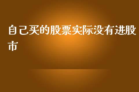 自己买的股票实际没有进股市_https://qh.lansai.wang_新股数据_第1张