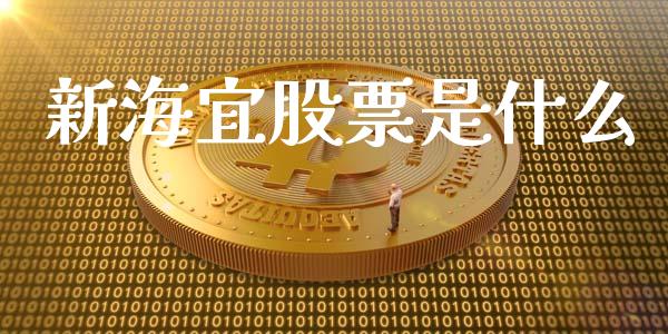 新海宜股票是什么_https://qh.lansai.wang_期货怎么玩_第1张