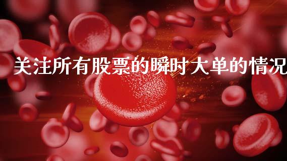 关注所有股票的瞬时大单的情况_https://qh.lansai.wang_期货怎么玩_第1张