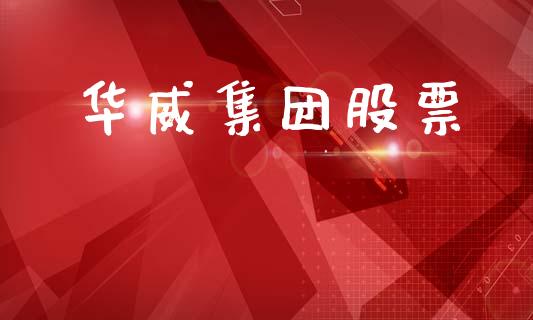 华威集团股票_https://qh.lansai.wang_期货理财_第1张