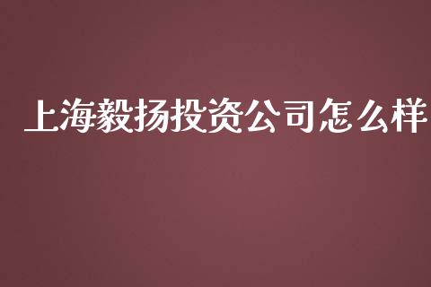 上海毅扬投资公司怎么样_https://qh.lansai.wang_期货喊单_第1张