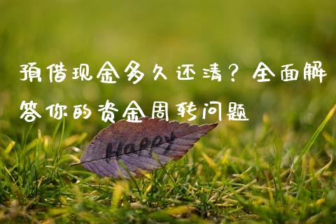 预借现金多久还清？全面解答你的资金周转问题_https://qh.lansai.wang_期货怎么玩_第1张