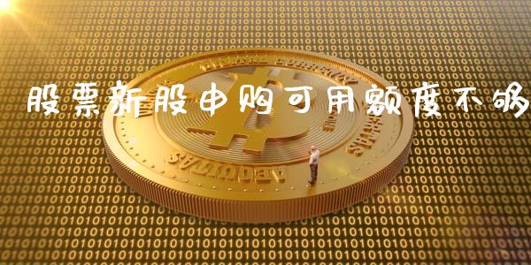 股票新股申购可用额度不够_https://qh.lansai.wang_期货理财_第1张