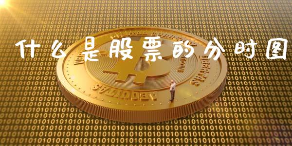 什么是股票的分时图_https://qh.lansai.wang_期货理财_第1张