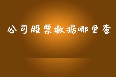 公司股票数据哪里查_https://qh.lansai.wang_新股数据_第1张