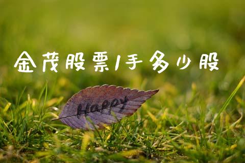 金茂股票1手多少股_https://qh.lansai.wang_新股数据_第1张