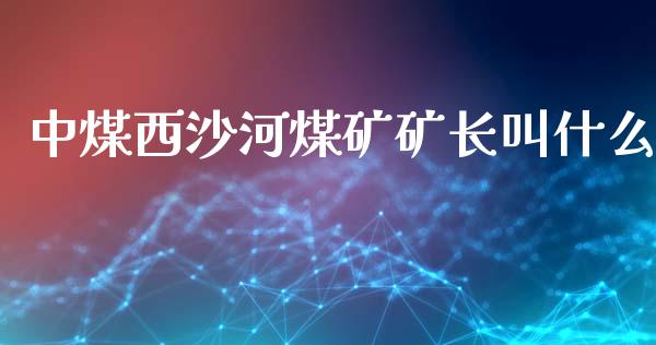 中煤西沙河煤矿矿长叫什么_https://qh.lansai.wang_新股数据_第1张