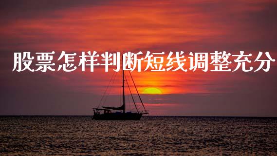 股票怎样判断短线调整充分_https://qh.lansai.wang_期货喊单_第1张