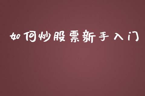 如何炒股票新手入门_https://qh.lansai.wang_期货喊单_第1张