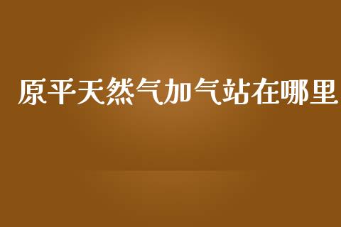 原平天然气加气站在哪里_https://qh.lansai.wang_期货喊单_第1张