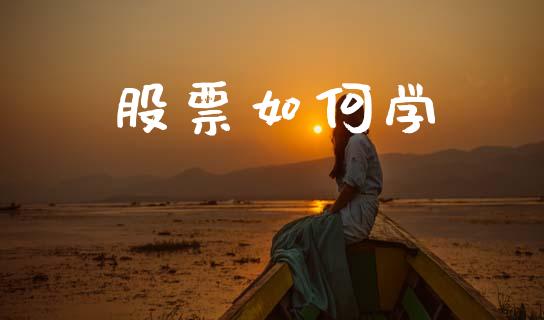 股票如何学_https://qh.lansai.wang_期货喊单_第1张