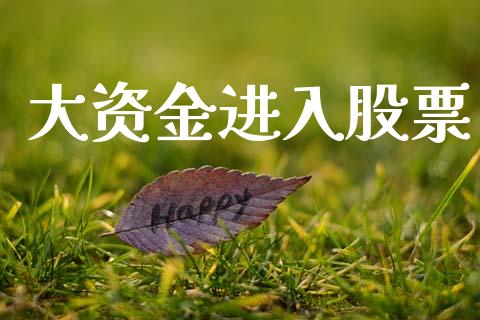 大资金进入股票_https://qh.lansai.wang_期货喊单_第1张