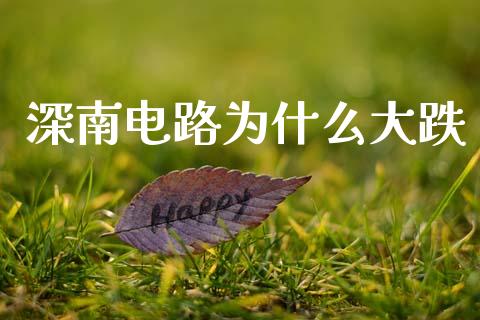 深南电路为什么大跌_https://qh.lansai.wang_期货喊单_第1张
