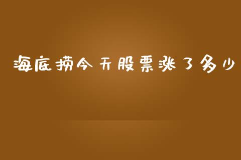 海底捞今天股票涨了多少_https://qh.lansai.wang_期货喊单_第1张