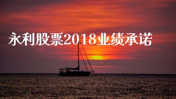 永利股票2018业绩承诺_https://qh.lansai.wang_期货理财_第1张
