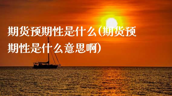 期货预期性是什么(期货预期性是什么意思啊)_https://qh.lansai.wang_期货理财_第1张