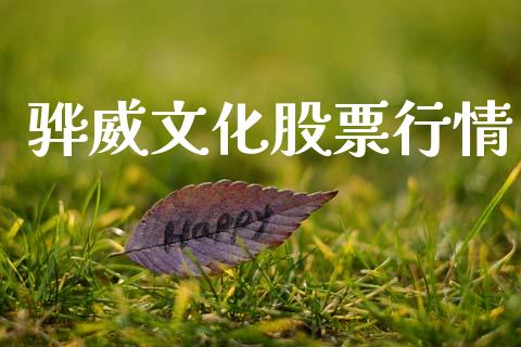 骅威文化股票行情_https://qh.lansai.wang_新股数据_第1张