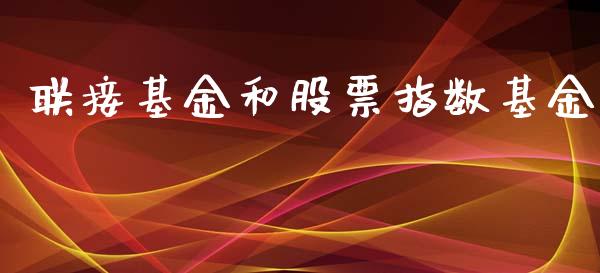 联接基金和股票指数基金_https://qh.lansai.wang_期货理财_第1张