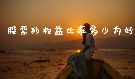 股票的权益比率多少为好_https://qh.lansai.wang_期货怎么玩_第1张